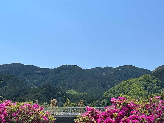 浄願寺 永代供養樹木葬