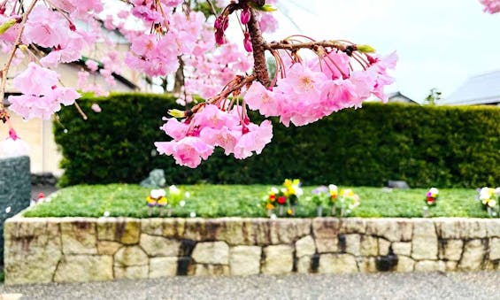 大源寺 樹木葬