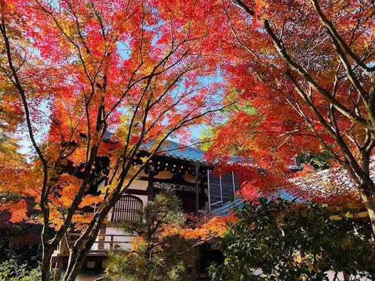 大徳寺塔頭「正受院」