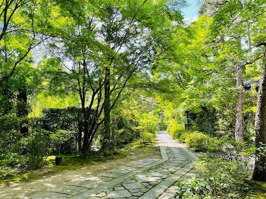 大徳寺塔頭「正受院」