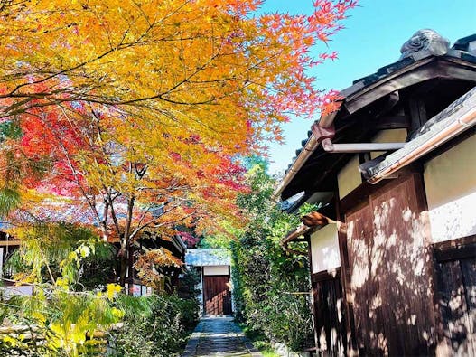 大徳寺塔頭「正受院」