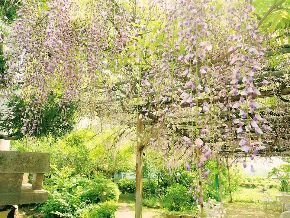 明元寺 樹木葬「沐風苑」