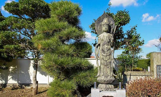 東傳寺 永代供養樹木葬