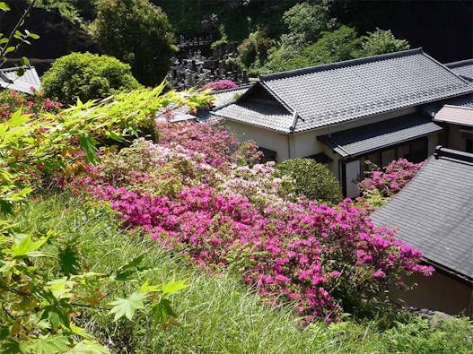 法住寺