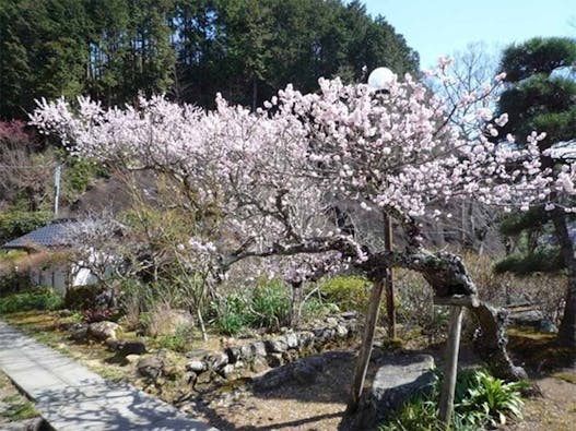 法住寺