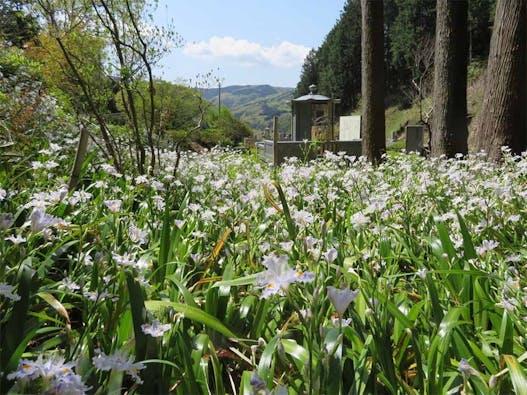 法住寺