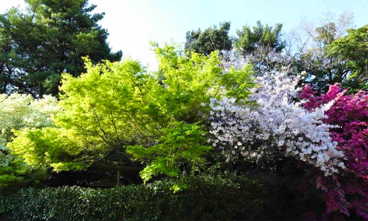 幻住庵 屋外納骨堂・永代供養墓