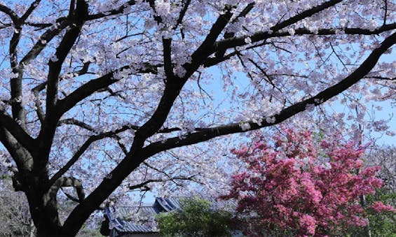 幻住庵 屋外納骨堂・永代供養墓