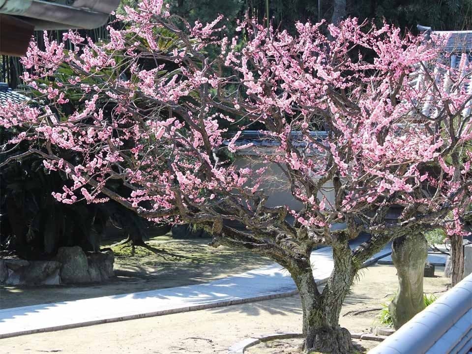 幻住庵 屋外納骨堂・永代供養墓