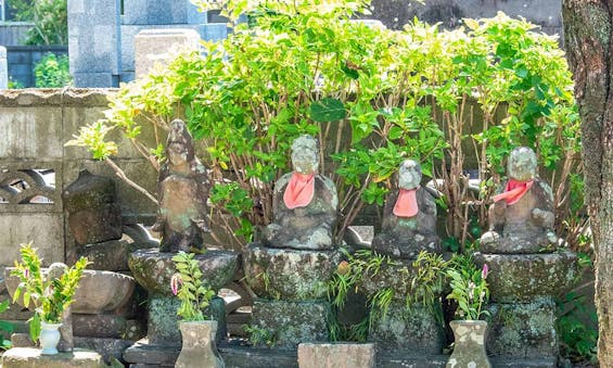 寒若寺 永代供養墓・樹木葬