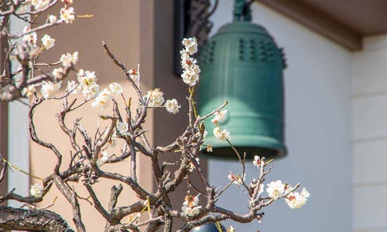 專稱寺 永代供養墓・樹木葬