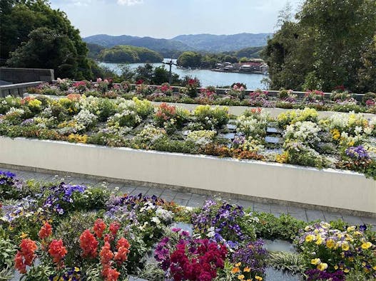 白崎プレイ・ガーデン「花壇墓」