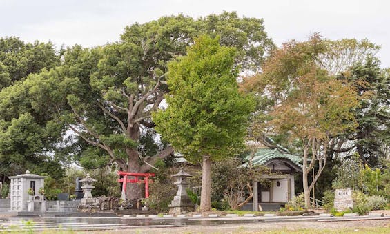 掛松寺 永代供養墓