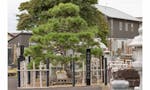 掛松寺 永代供養墓 寺号の由来、日蓮聖人袈裟掛けの松は墓地の奥にあります