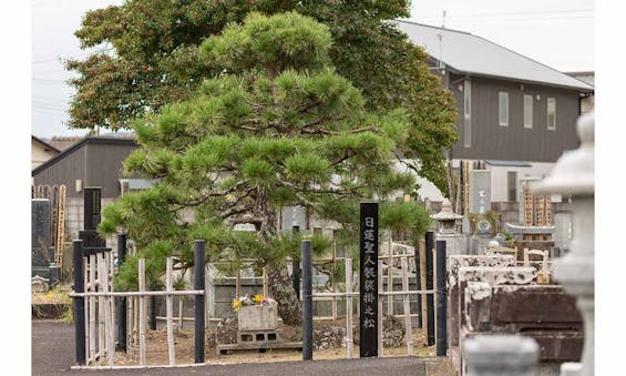 掛松寺 永代供養墓