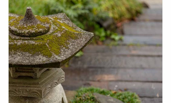 掛松寺 永代供養墓