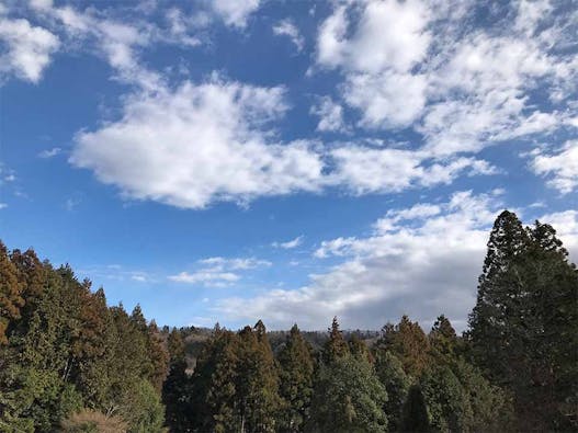 安養寺 樹木葬