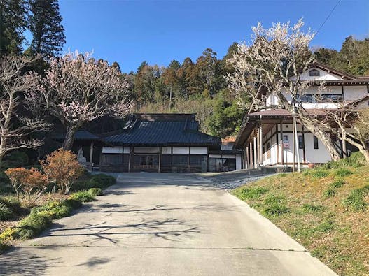 安養寺 樹木葬