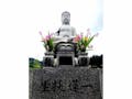 藤澤寺 永代供養墓