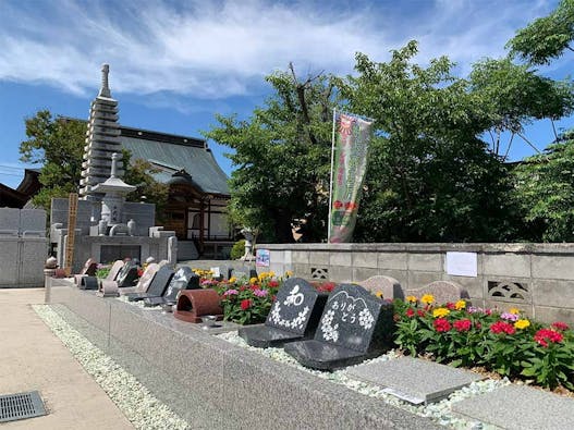 大龍山 冨春院