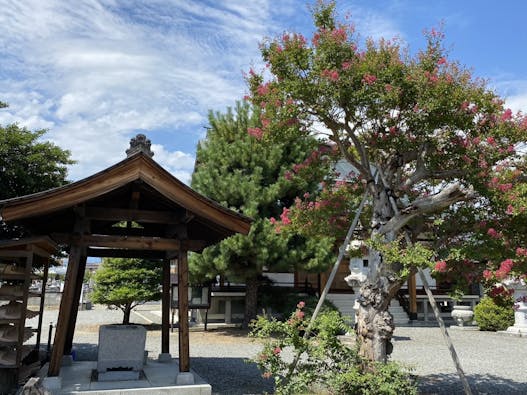 大龍山 冨春院