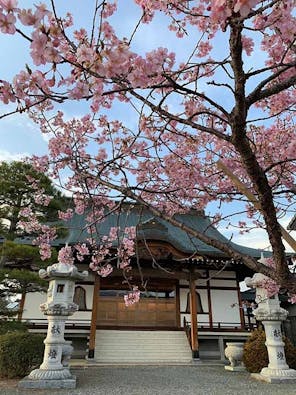 大龍山 冨春院