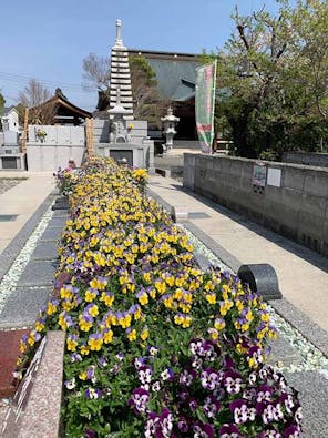 大龍山 冨春院