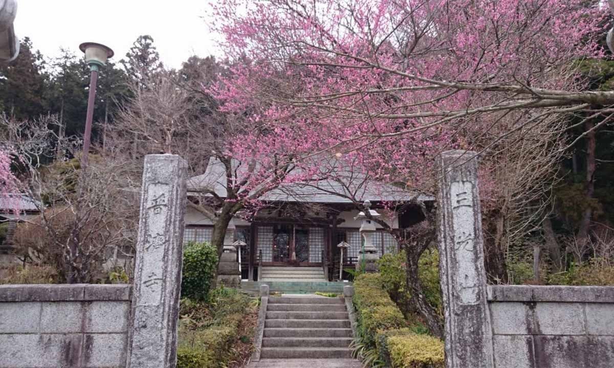 普濟寺の画像