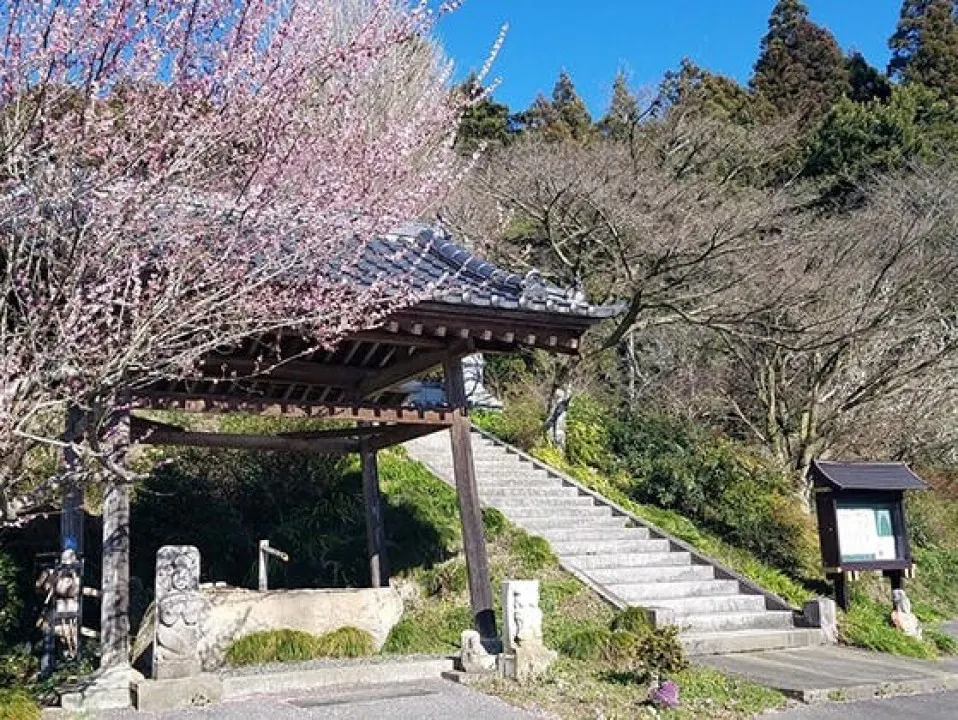 普濟寺 春の境内