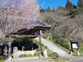 普濟寺 春の境内