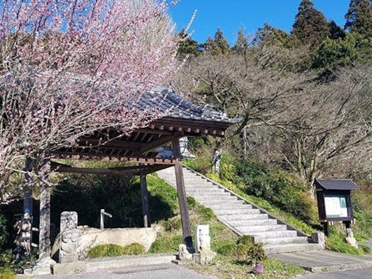 普濟寺