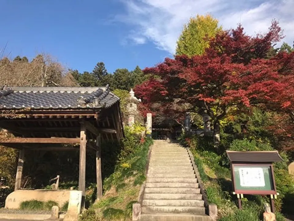 普濟寺 秋の境内