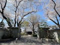 世田谷 樹木葬「和の庭園墓」 春の山門に咲く桜