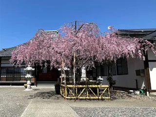 常然寺