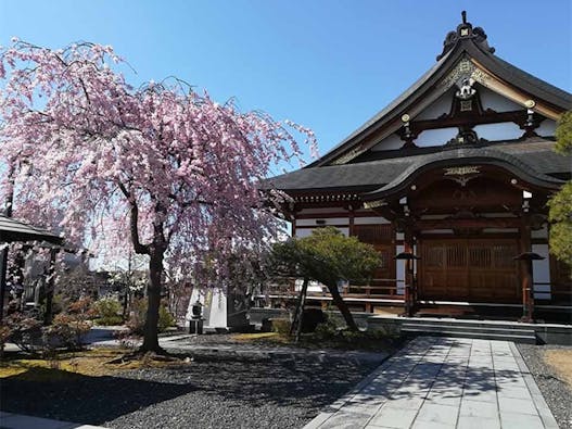 玄妙寺墓苑 永代供養付き墓地