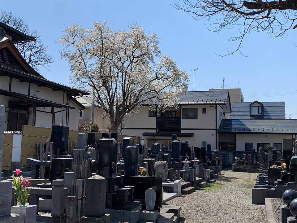 紫光山 極楽寺