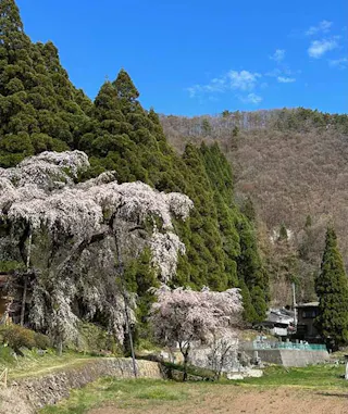 大日方霊園