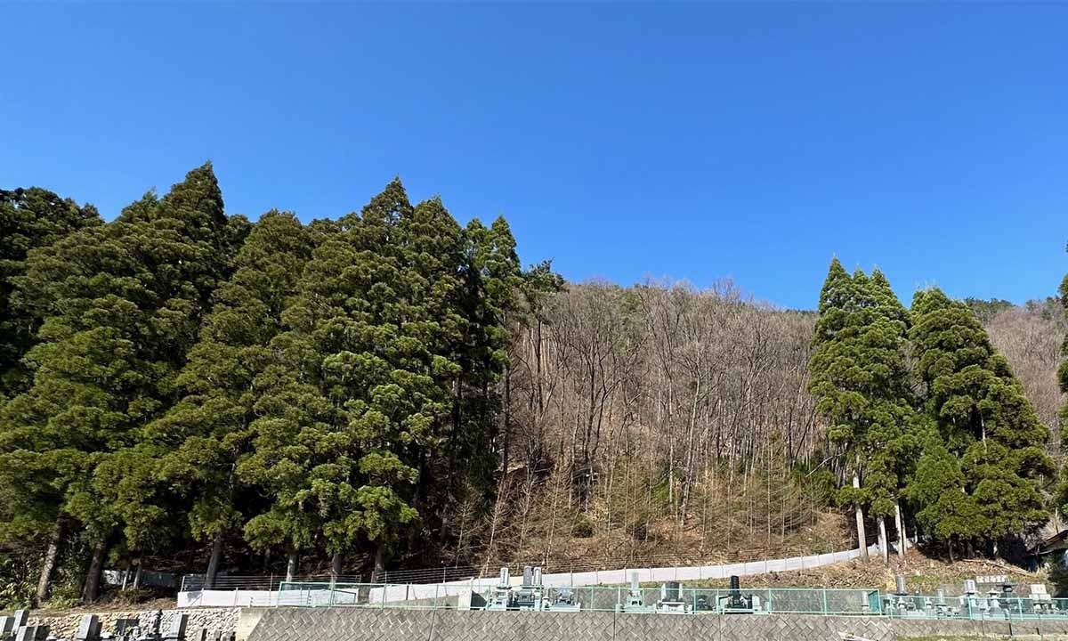 大日方霊園の画像
