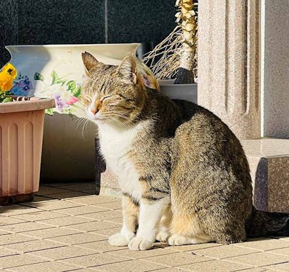 永代供養墓 安穏堂