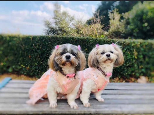 永代供養墓 安穏堂