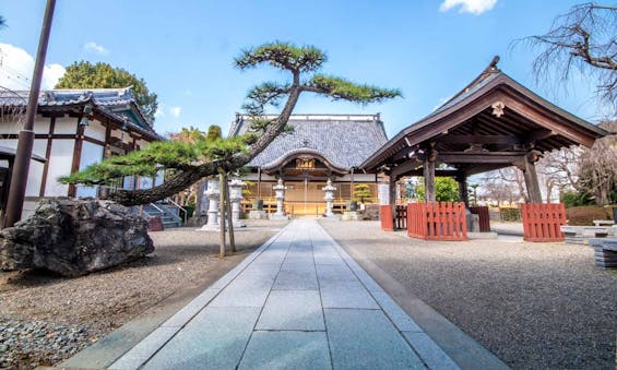 宝幢院 永代供養墓・樹木葬