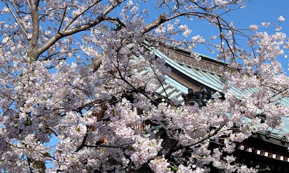 広渡寺