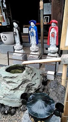 圓明院 さくら樹木葬