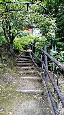 圓明院 さくら樹木葬