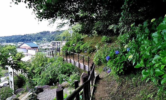 圓明院 さくら樹木葬