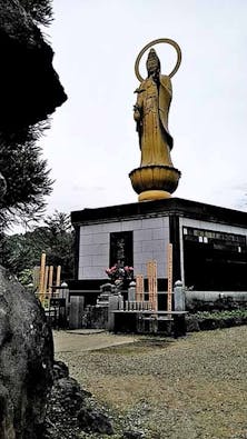 圓明院 さくら樹木葬