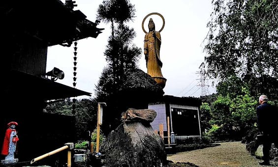 圓明院 さくら樹木葬