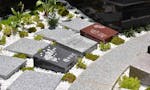 善福寺 平和公園内樹木葬墓地 オリジナルの墓碑プレートデザインが可能です。