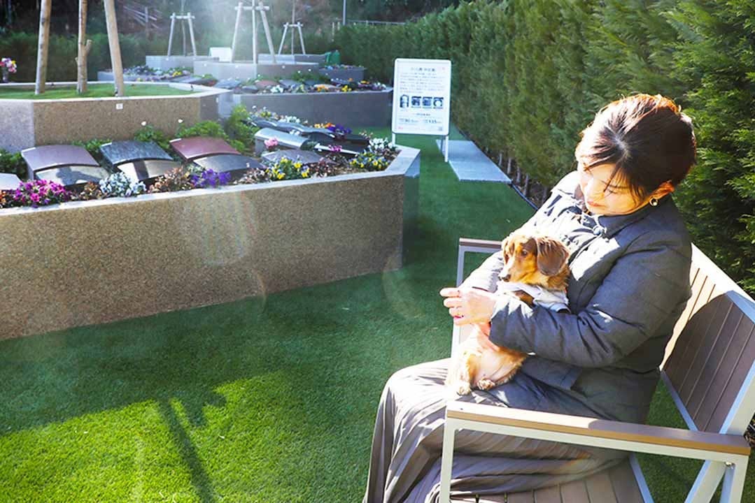 ガーデニング・樹木葬霊園 しみずさくら浄苑