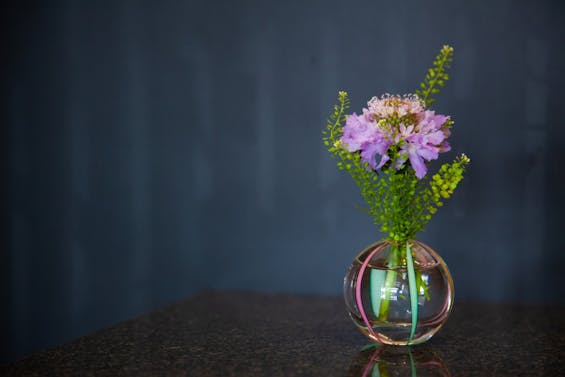 納骨堂てらす 法養寺